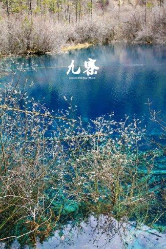 【生态立企】双鸭山：以林长制为抓手 筑牢绿色发展根基和生态安全屏障