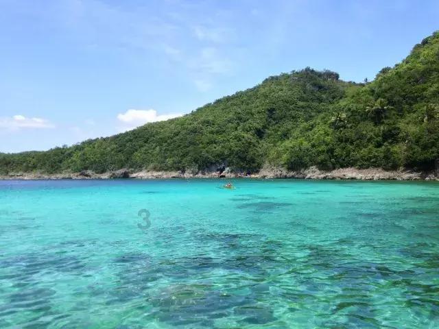 病毒大作战