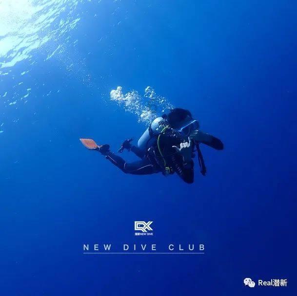 救援选美皇后