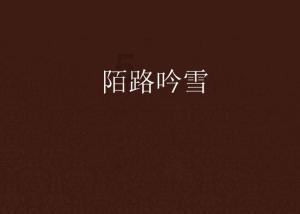 20只短中长期均为正收益的主动权益基金，四季度转配了什么？