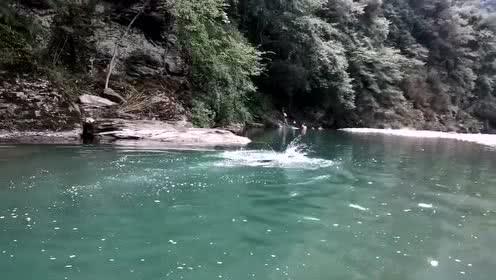 救援瓢虫宝宝