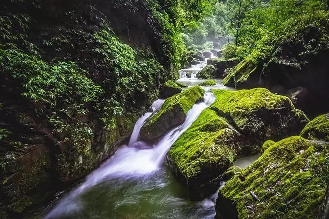 《我的前半生》：罗子君一出场让人脑壳疼，贺函“厌蠢症”都犯了