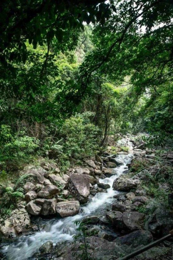 男方发量稀疏脸长斑,杜海涛沈梦辰近照曝光,结婚2年未办婚礼