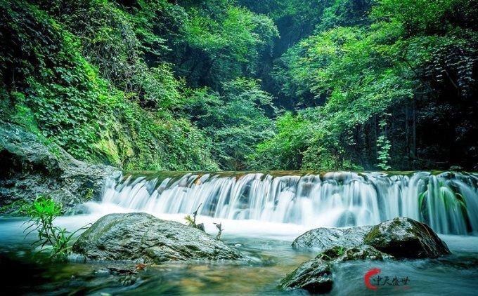 梦想牧场