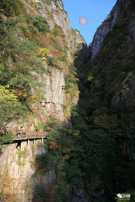 召唤神龙万宁版祖龙