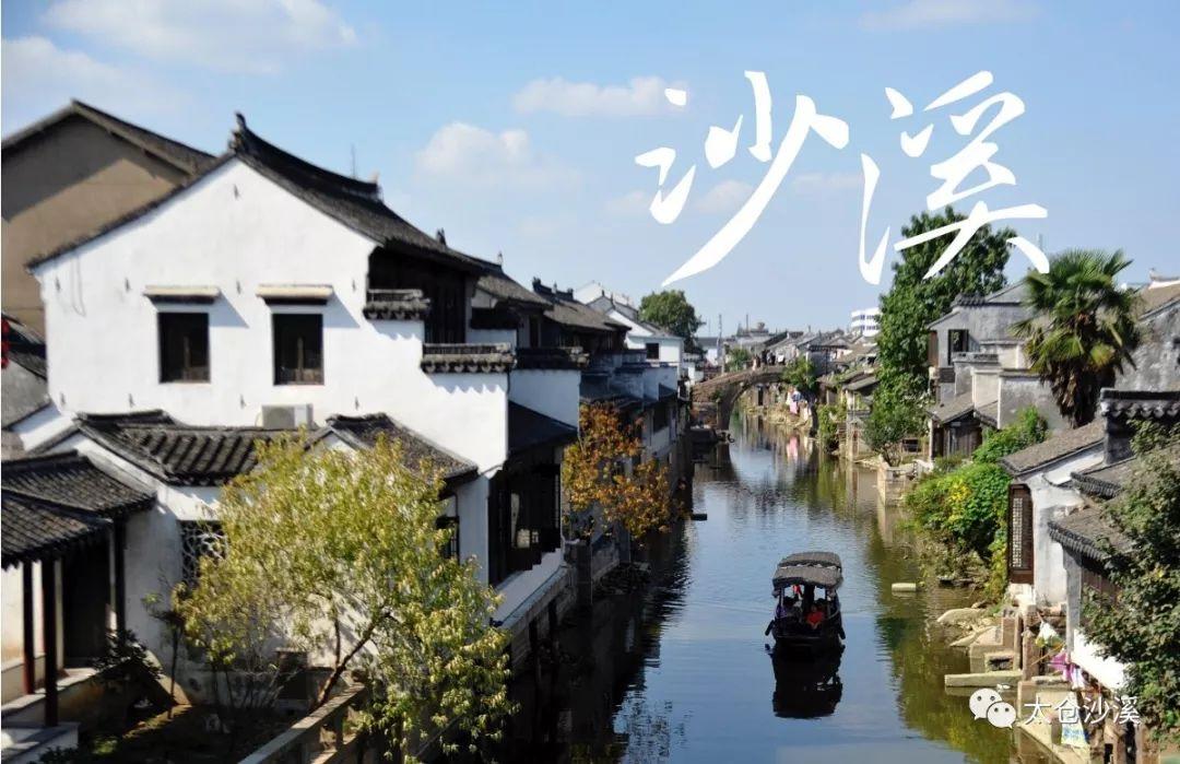 饥饿的松鼠救援