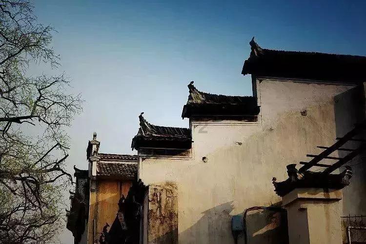 杭州市钱塘区景苑幼教集团:“幼”见桑树