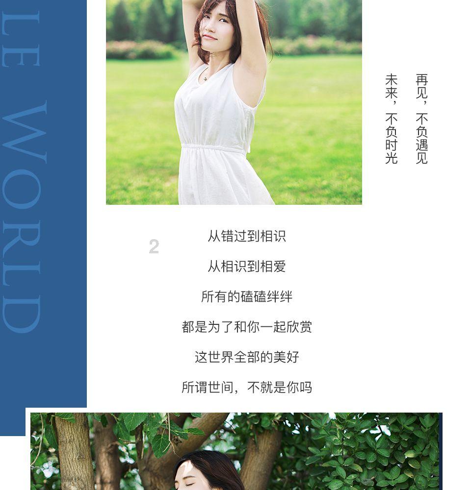 疯狂的小猫